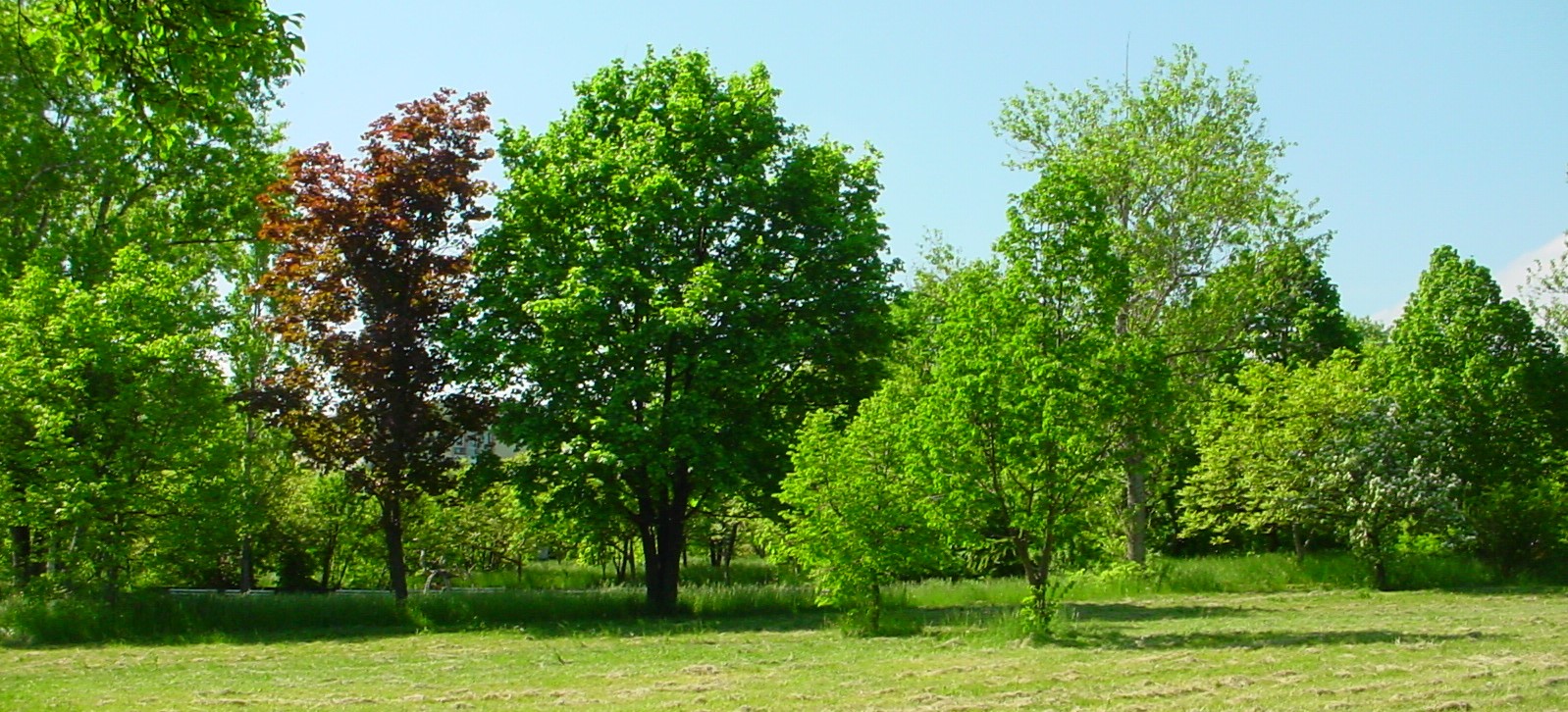 INRNE park